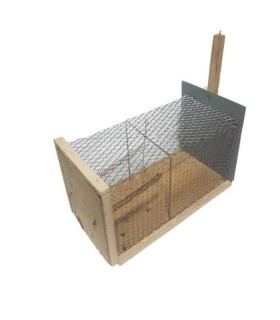 تله گربه گير $$