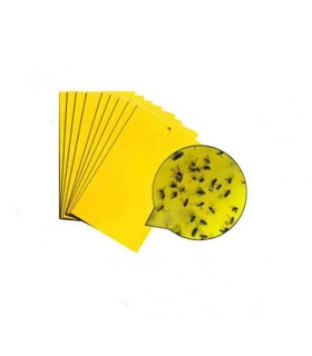 چسب حشره مگس زرد $$