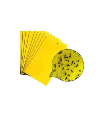 چسب حشره مگس زرد $$