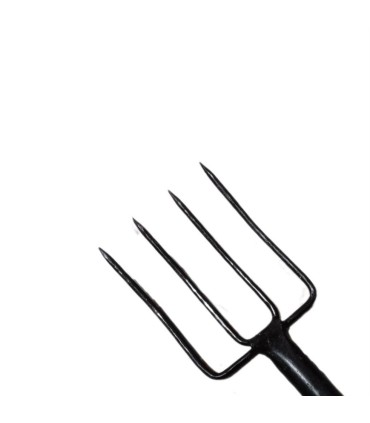 چهارشاخ ايراني