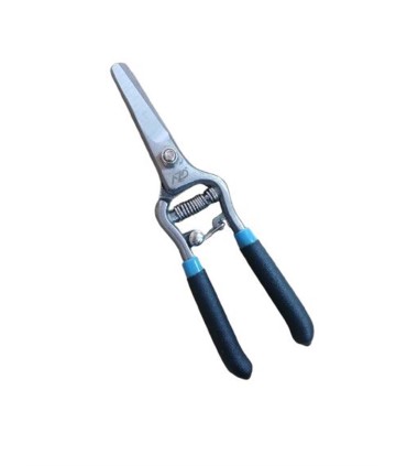 قيچي ميوه چين azd