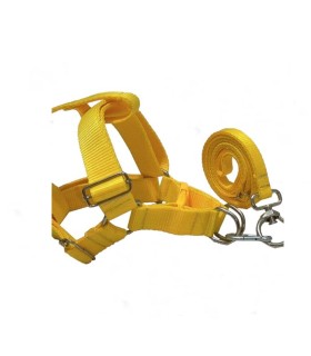 قلاده برزنتي كمري بزرگ $$