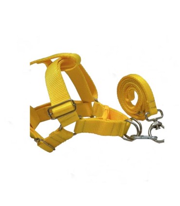 قلاده برزنتي كمري بزرگ $$